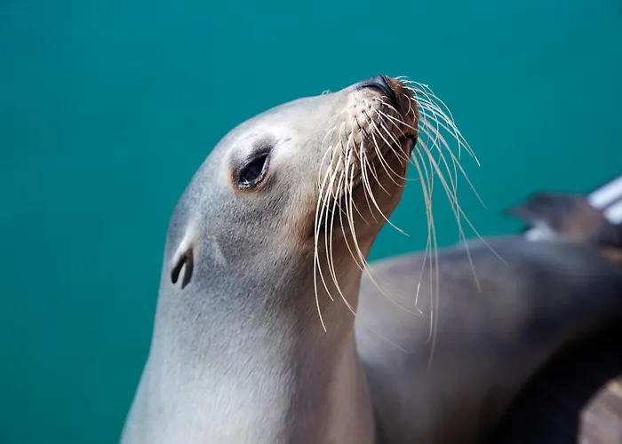 Triplex Impresionantes Vistas بيت للعطل *