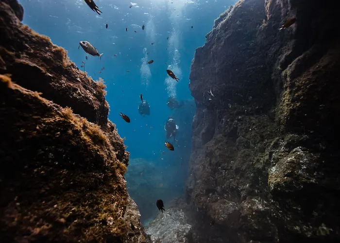 Triplex Impresionantes Vistas *