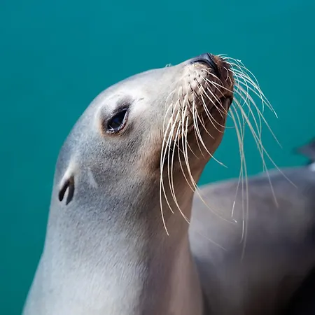Triplex Impresionantes Vistas Feriehus *