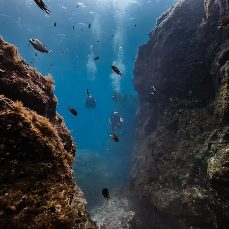 Triplex Impresionantes Vistas *